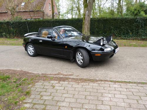 Dewitenkoo Henk Wathion